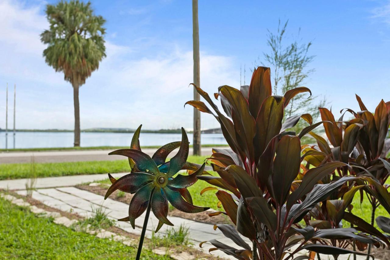 Bayside Safari 1Bed 1 Bath Apartment Tampa Exterior foto